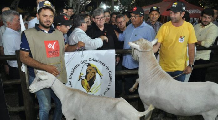 João Azevêdo visita 53ª Expapi em CG e destaca incentivo à agricultura familiar e ao agronegócio