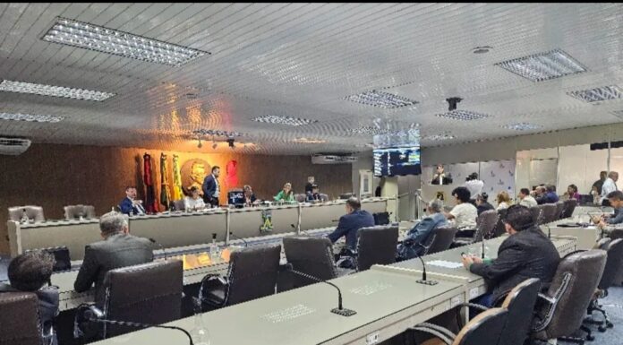 INFORME PUBLICITÁRIO – CMCG –