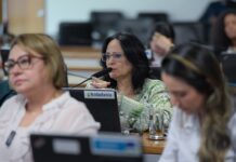 Senado aprova criação da Semana do Empreendedorismo Feminino