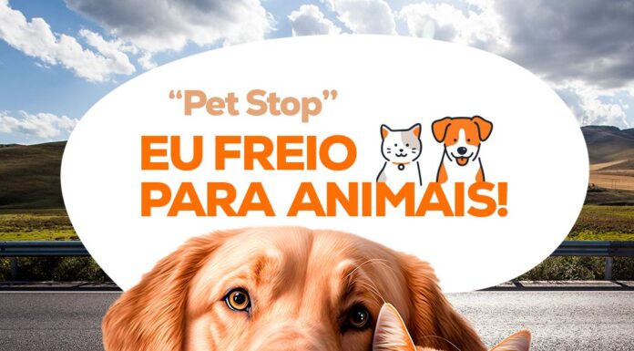 Waléria Assunção promove “Pet Stop – Eu Freio para Animais!” no Maio Amarelo nesta sexta-feira (23)
