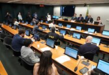 Comissão debate diagnóstico precoce e intervenções para pessoas com autismo