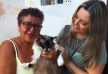 Vereadora Waléria Assunção visita cidadãs para ouvir propostas sobre a causa animal