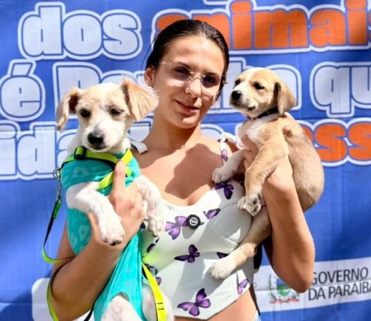 Adota+ Paraíba realiza 425 procedimentos e atende 165 animais em CG