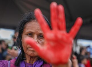 Comissão mista debate o uso de tecnologia no combate à violência contra a mulher