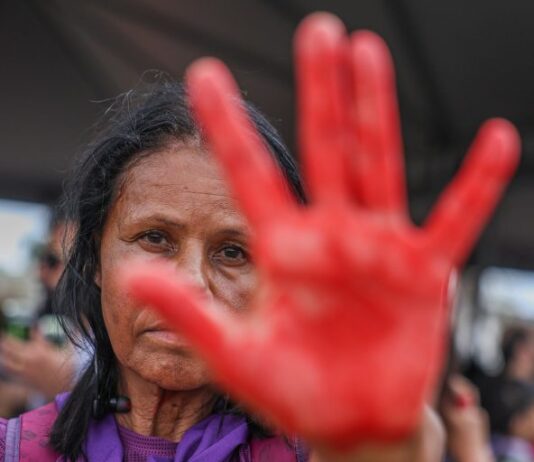 Comissão mista debate o uso de tecnologia no combate à violência contra a mulher