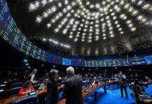 Senado pode votar banco de dados sobre violência contra a mulher
