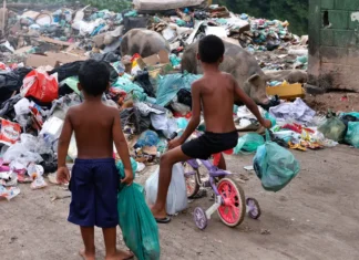 Senado aprova direito prioritário da criança a meio ambiente saudável